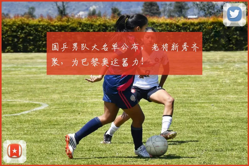 国乒男队大名单公布,老将新秀齐聚,为巴黎奥运蓄力!