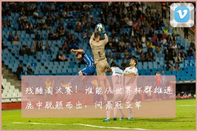 残酷淘汰赛！谁能从世界杯群雄逐鹿中脱颖而出，问鼎冠亚军