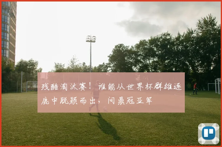 残酷淘汰赛！谁能从世界杯群雄逐鹿中脱颖而出，问鼎冠亚军